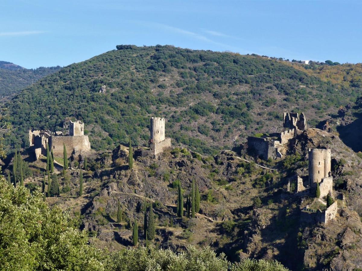 Au Soleil Couchant Villemoustaussou Exterior photo